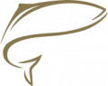 Icons-workfile-21May21_Swisslachs_fish Icons-workfile-21May21_Swisslachs_fish
