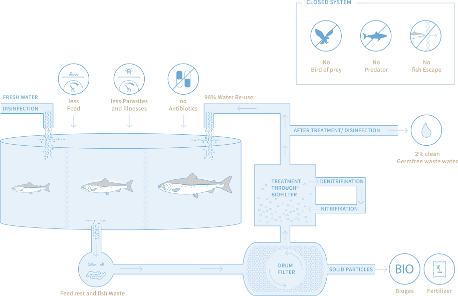 SwissLachs 01 illustration EN 01Jun18 2 - SWISS LACHS Alpiner Lachs