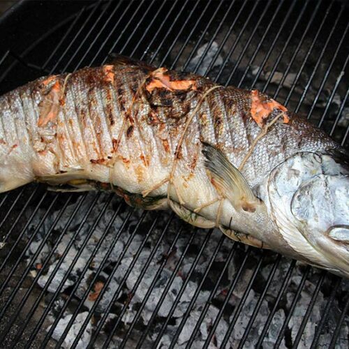 grilled fish - SWISS LACHS Alpiner Lachs