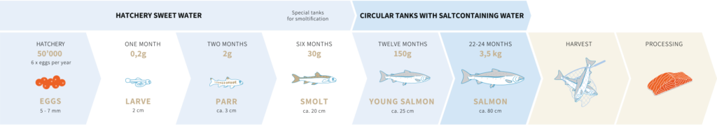 Salmon farm - details about the plant and rearing | SWISS LACHS