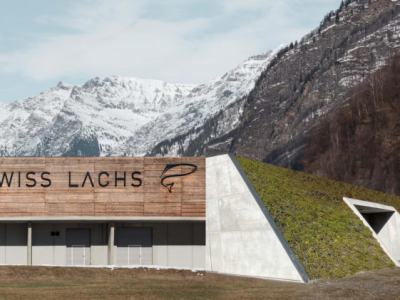 rendering erstfeld swisslachs - SWISS LACHS Alpiner Lachs