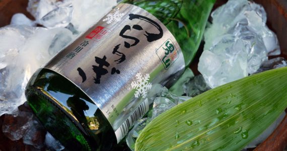 swiss-lachs-lachs-und-sake swiss-lachs-lachs-und-sake